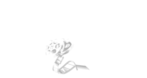BEST-SHORTS-Excellence-logo-white-trans-back_adobe_express