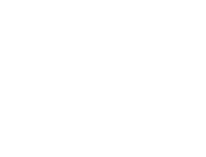 DFFFHONORABLEWHITE