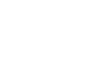 Nominee - Venice Shorts - 2022