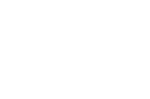 Best Animation - The Psychedelic Film and Music Festival - 2022