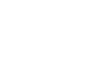 Golden Reel Award - Shockfest Film Festival - 2022