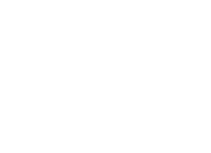 flanimation-2022-white